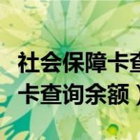 社会保障卡查询余额怎么查询上网（社会保障卡查询余额）