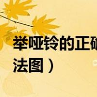 举哑铃的正确方法图解视频（举哑铃的正确方法图）