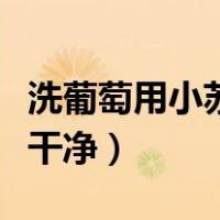 洗葡萄用小苏打还是淀粉（洗葡萄用什么洗最干净）
