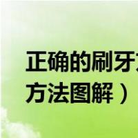 正确的刷牙方法图解 卡通图片（正确的刷牙方法图解）