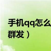 手机qq怎么群发所有人（手机qq上怎么一键群发）