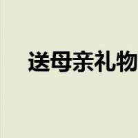 送母亲礼物推荐（送母亲的礼物实用型）