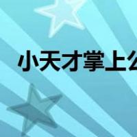 小天才掌上公交怎么用（掌上公交怎么用）