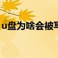 u盘为啥会被写保护（u盘为什么会被写保护）