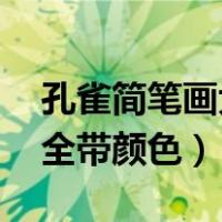 孔雀简笔画大全带颜色 涂色（孔雀简笔画大全带颜色）