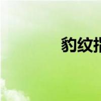 豹纹指甲的做法（豹纹指甲）