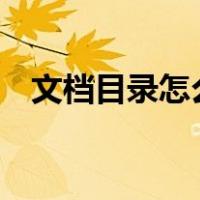 文档目录怎么做（word文档目录怎么做）