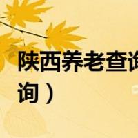 陕西养老查询个人账户查询系统（陕西养老查询）