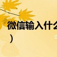 微信输入什么会掉落（微信输入什么会掉东西）