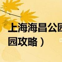上海海昌公园攻略关注公什么号（上海海昌公园攻略）