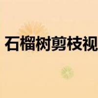 石榴树剪枝视频教程（石榴树剪枝技术视频）