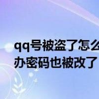 qq号被盗了怎么办密码也被改了手机号（qq号被盗了怎么办密码也被改了）
