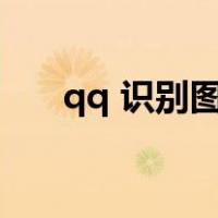 qq 识别图中文字（qq识别图中文字）