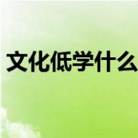 文化低学什么技术最好（没学历学点什么好）