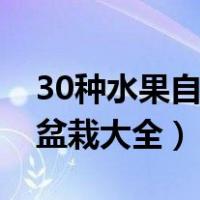 30种水果自制盆栽大全图解（30种水果自制盆栽大全）
