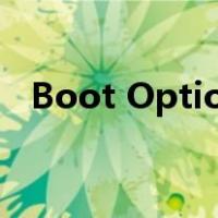 Boot Option设置错了（boot options）