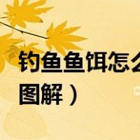 钓鱼鱼饵怎么挂钩图解法（钓鱼鱼饵怎么挂钩图解）