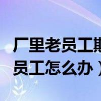 厂里老员工欺负新员工怎么办（老员工欺负新员工怎么办）