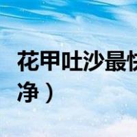 花甲吐沙最快的方法最干净（花甲怎么洗才干净）