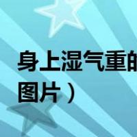 身上湿气重的症状图片女（身上湿气重的症状图片）