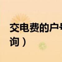 交电费的户号怎么查201958（交电费户号查询）