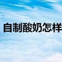 自制酸奶怎样做好吃（自制酸奶的家常做法）