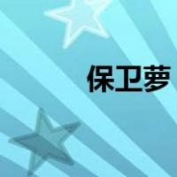 保卫萝卜1（保卫萝卜2攻略51）