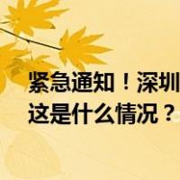 紧急通知！深圳罗湖区企事业单位和居民9月8日停工一天 这是什么情况？