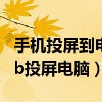 手机投屏到电脑usb连接选什么（手机通过usb投屏电脑）
