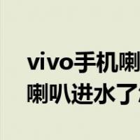 vivo手机喇叭进水破音修复方法（vivo手机喇叭进水了怎么办）