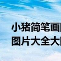 小猪简笔画图片大全大图 彩色（小猪简笔画图片大全大图）