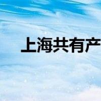 上海共有产权房申请（共有产权房申请）
