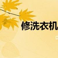 修洗衣机在哪个平台找（修洗衣机）