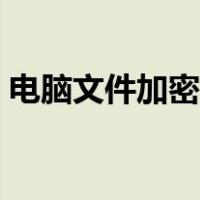 电脑文件加密码怎么设置的（电脑文件加密）