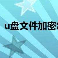 u盘文件加密怎么设置（文件加密怎么设置）