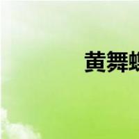 黄舞蝶三国杀技能（黄舞蝶）