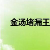 金汤堵漏王使用方法（堵漏王使用方法）