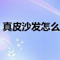 真皮沙发怎么清洗妙招（真皮沙发怎么清洗）