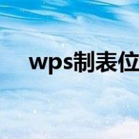 wps制表位怎么设置（制表位怎么设置）