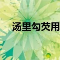 汤里勾芡用什么淀粉（勾芡用什么淀粉）