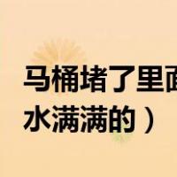 马桶堵了里面还有大便怎么办（马桶堵了屎和水满满的）