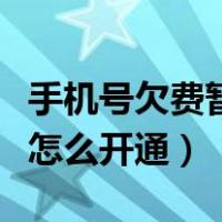 手机号欠费暂停服务怎么开通（手机欠费停机怎么开通）