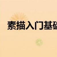 素描入门基础画几何体（素描入门基础画）