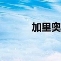 加里奥天赋端游（加里奥天赋）