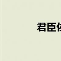 君臣佐使的概念（君臣佐使）