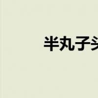 半丸子头的发型（半丸子头教程）