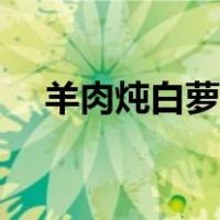 羊肉炖白萝卜汤的做法（胡萝卜羊肉汤）