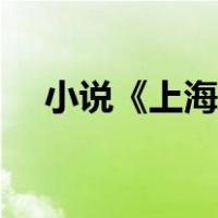 小说《上海堡垒》（上海堡垒在线阅读）