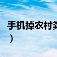 手机掉农村粪坑怎么处理（手机掉厕所怎么办）