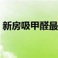 新房吸甲醛最好的植物（吸甲醛最好的植物）